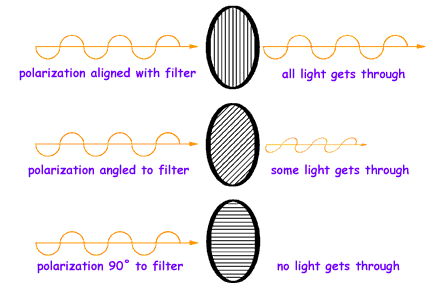 polarization